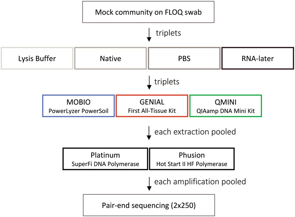 Storage Buffer Dna Extraction Method