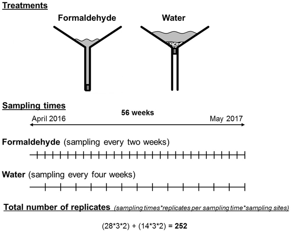 The Extent Of Wind Mediated Dispersal Of Small Metazoans Focusing Nematodes Scientific Reports