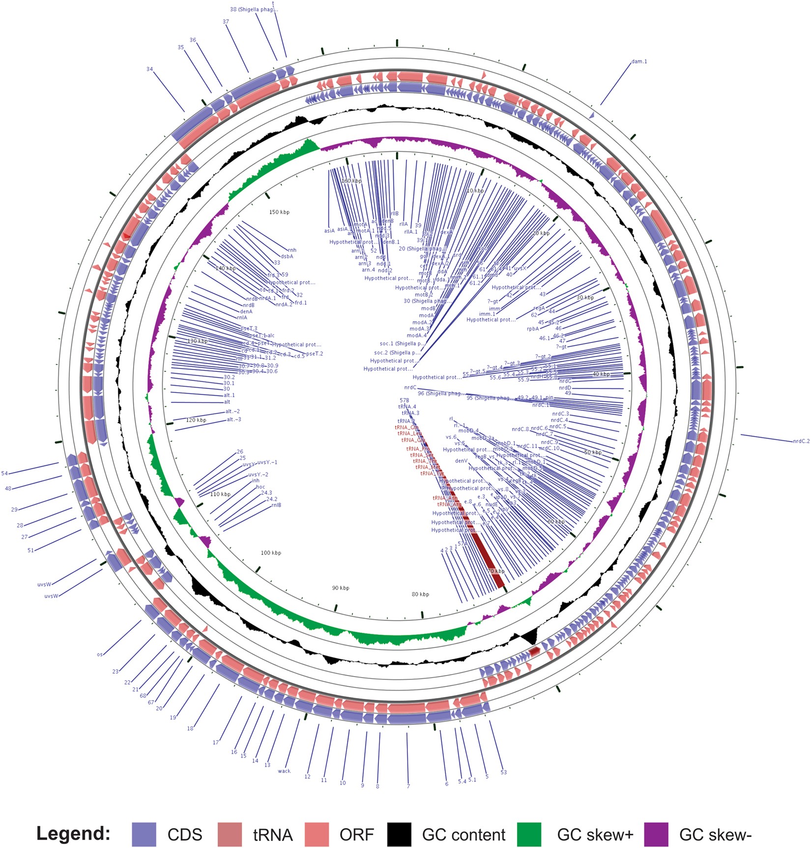 genomic analysis and immune response in a murine mastitis model of