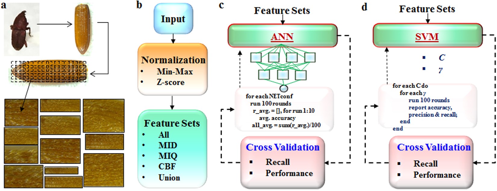 Why does SVM outperform other classifiers?