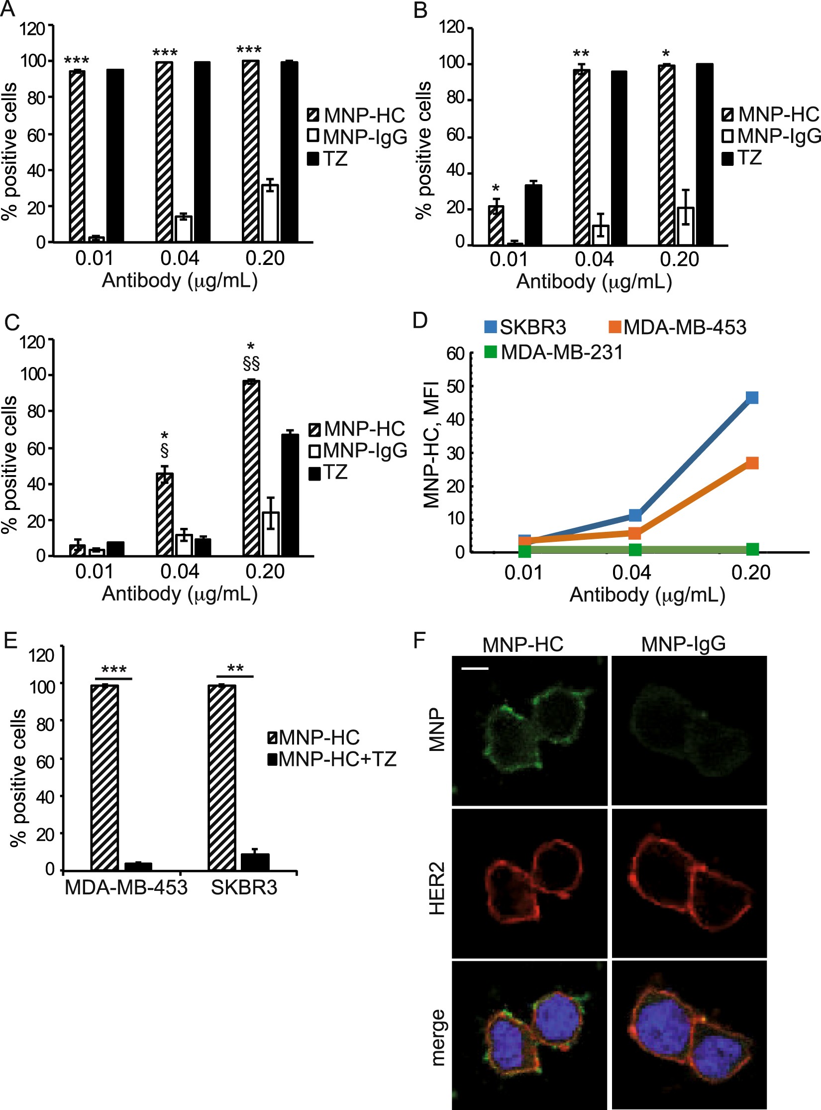 Multivalent exposure of trastuzumab on iron oxide nanoparticles improves  antitumor potential and reduces resistance in HER2-positive breast cancer  cells | Scientific Reports