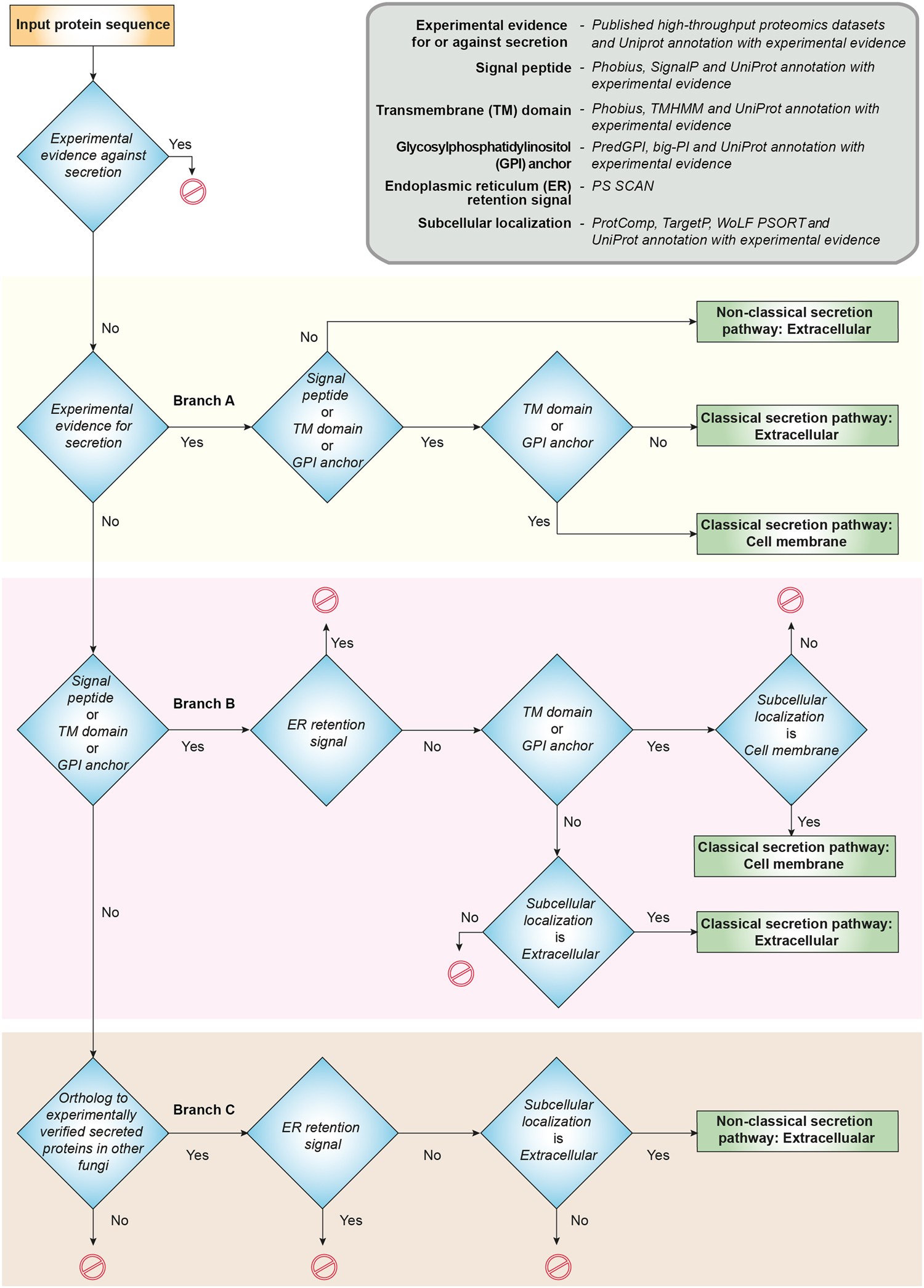 Comparative Systems Analysis Of The Secretome Of The Opportunistic Pathogen Aspergillus Fumigatus And Other Aspergillus Species Scientific Reports