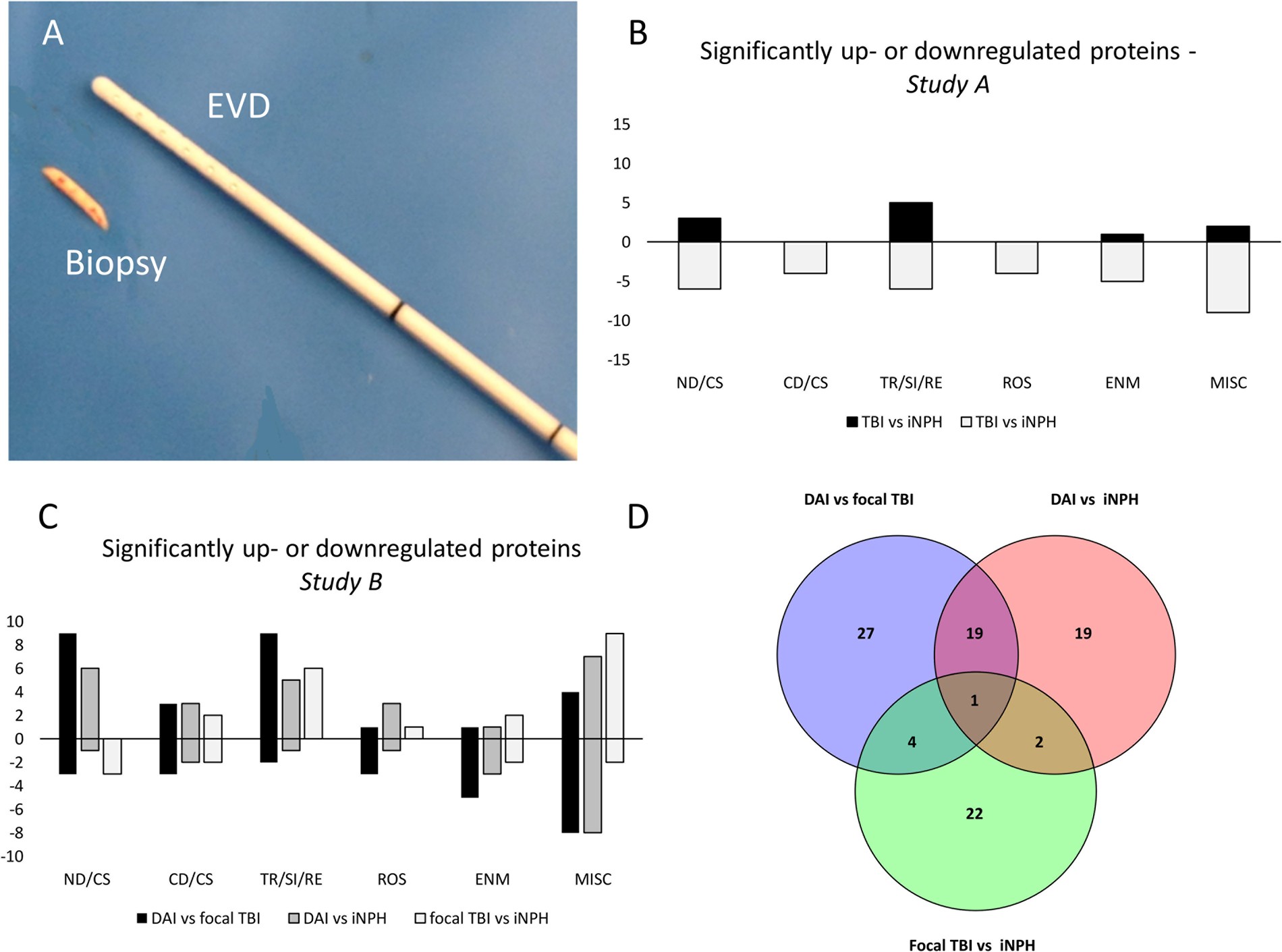 Proteomic differences between focal and diffuse traumatic brain ...