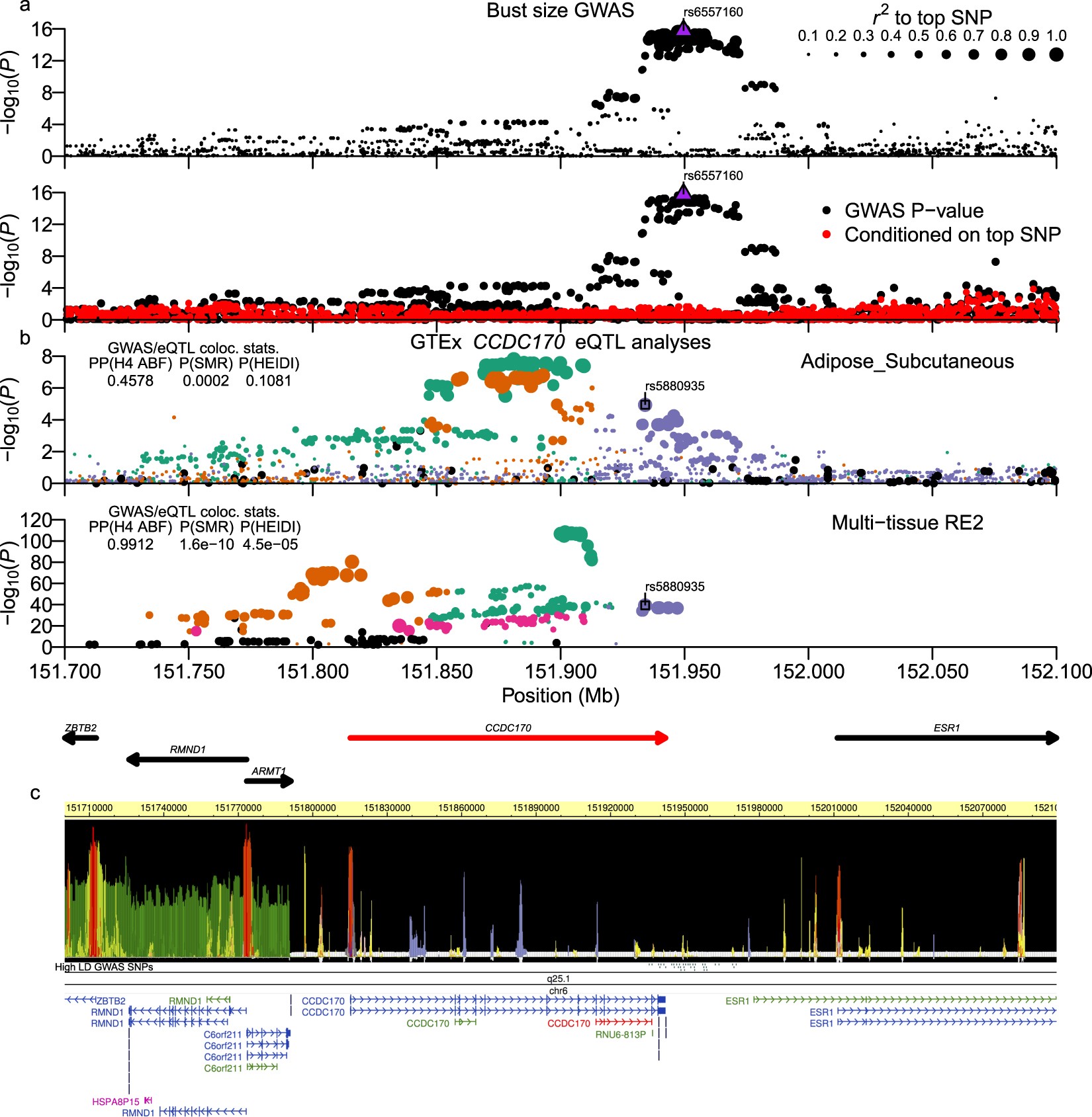 Japanese GWAS identifies variants for bust-size, dysmenorrhea, and