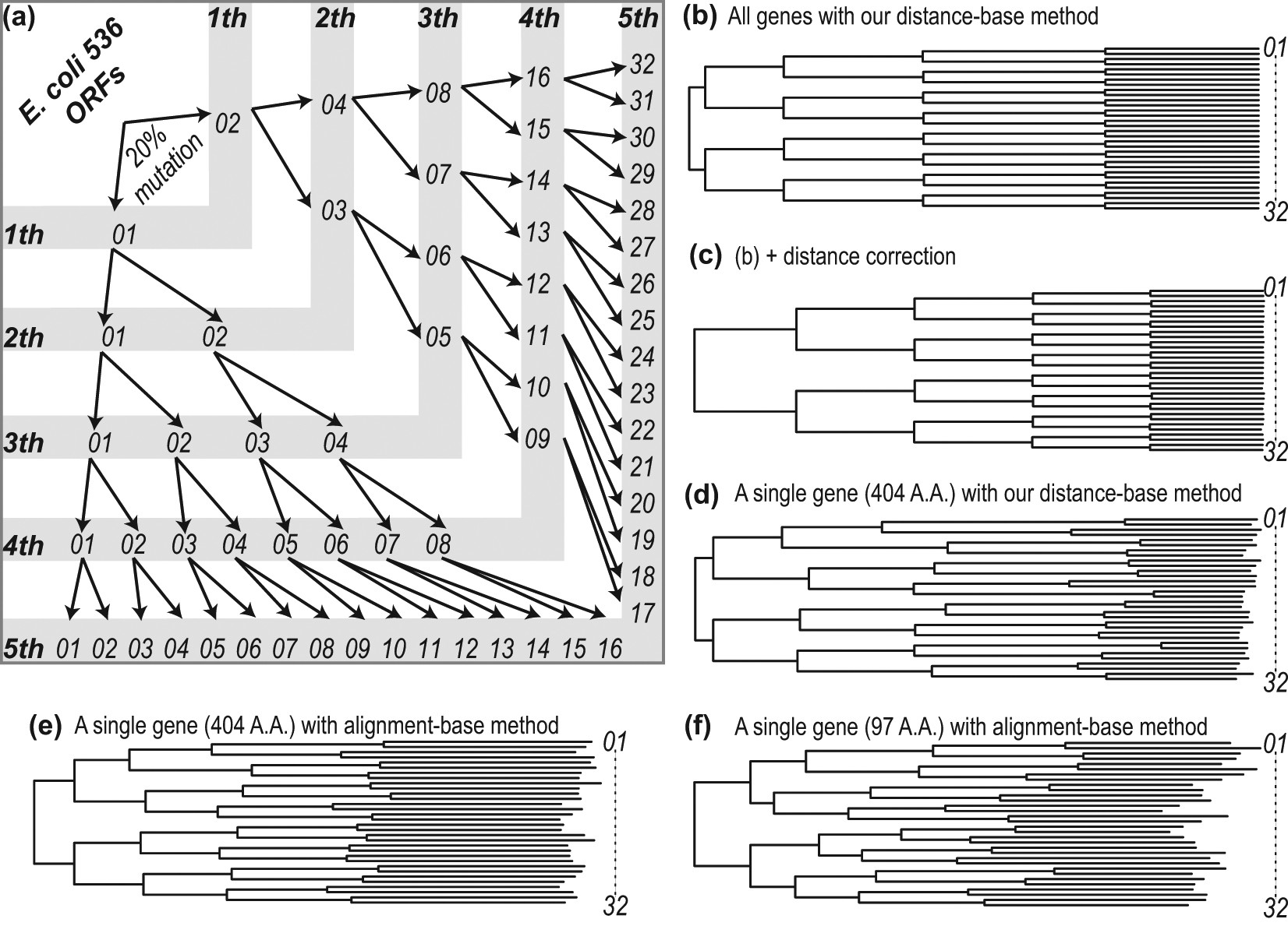 Phylogenetic tree constructed using EMA1 amino acid sequences generated