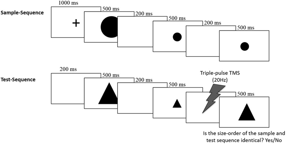 2015 Tms Reference Guide 2015 Tms Reference Guide