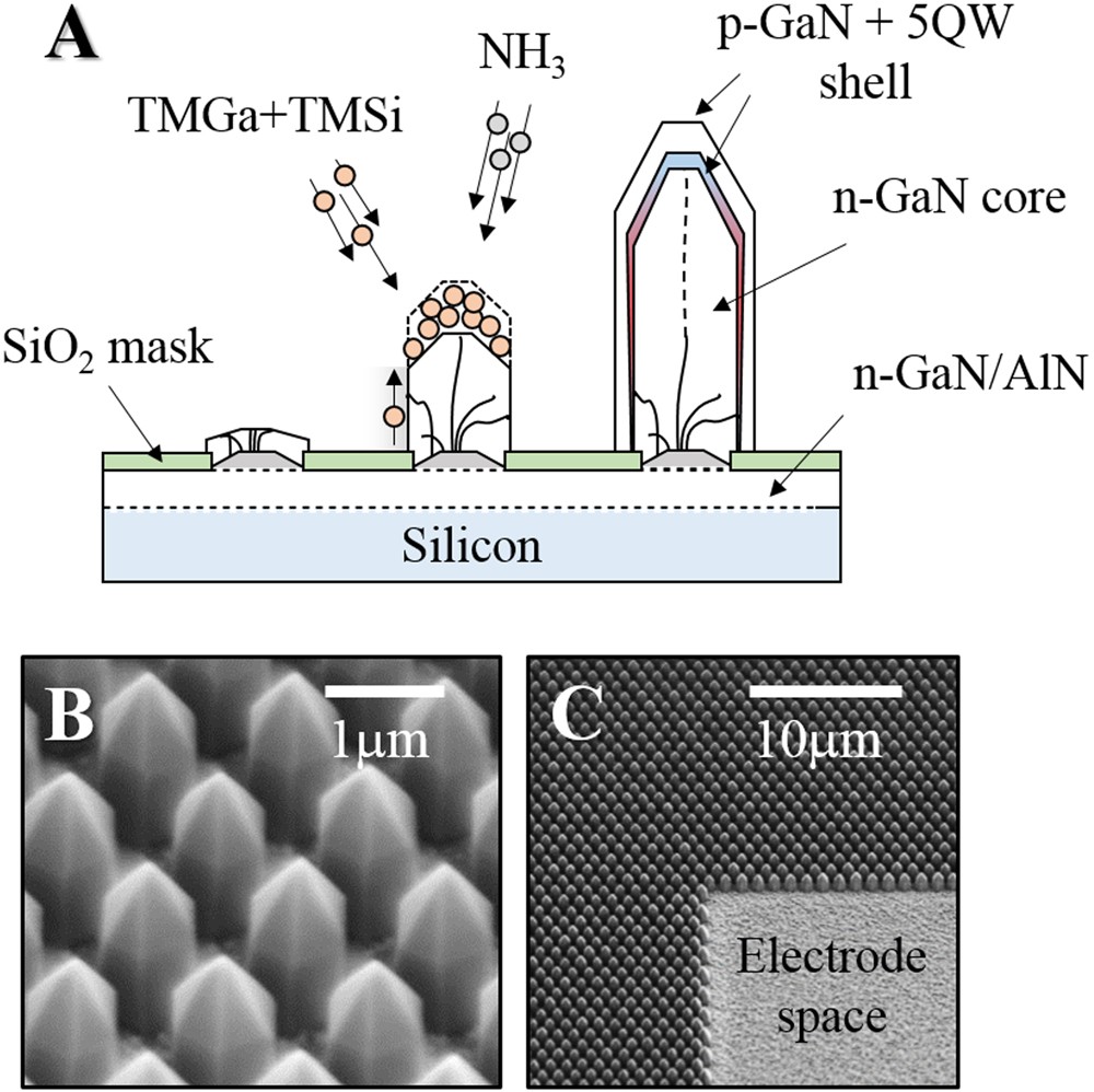 Insight Into The Performance Of Multi Color Ingan Gan