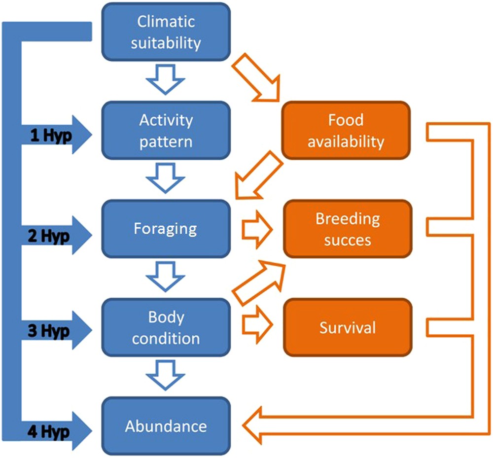 Environmental suitability models predict population density, performance  and body condition for microendemic salamanders | Scientific Reports