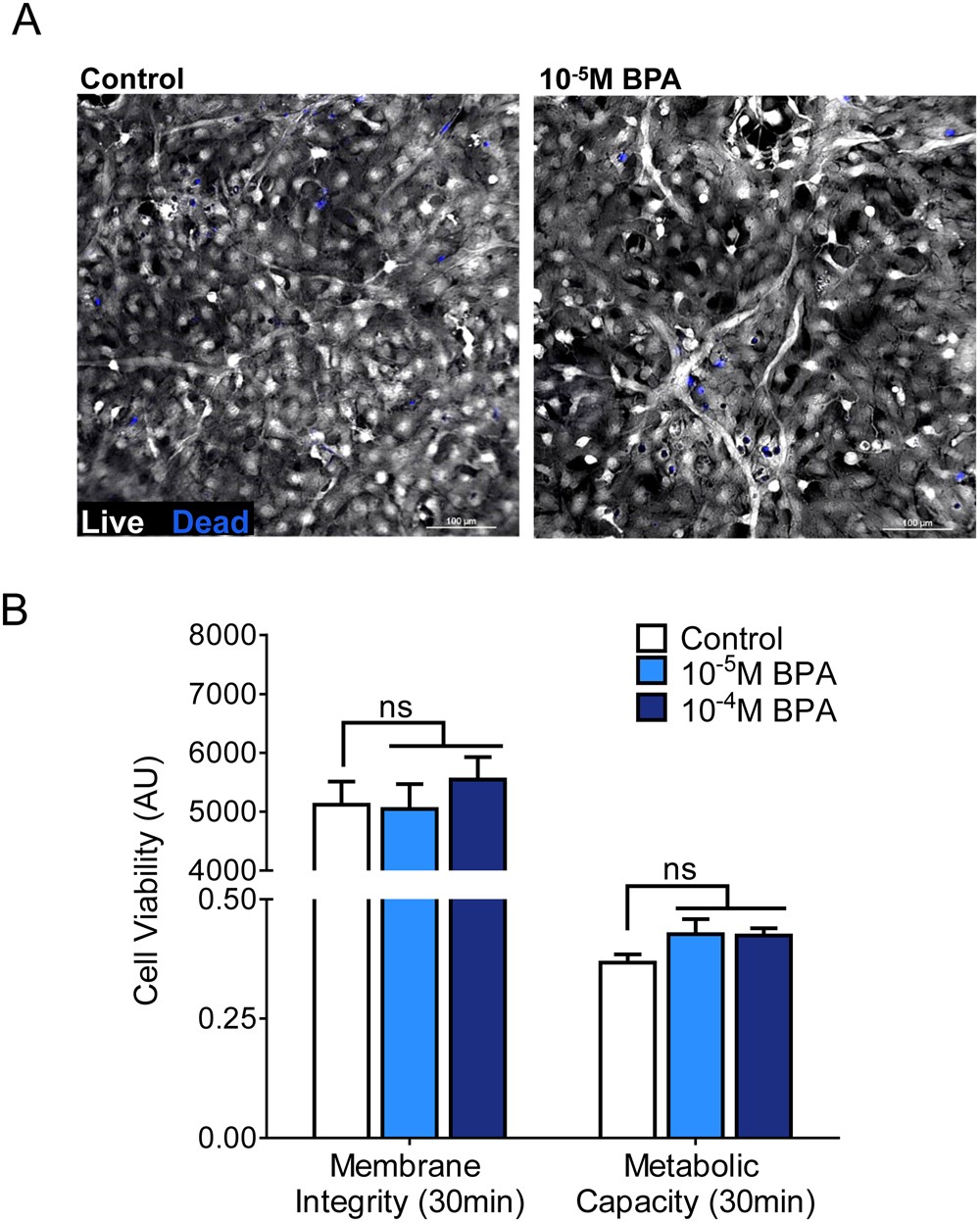 Bpa Seems To Alter Communication For >> Disruption Of Neonatal Cardiomyocyte Physiology Following Exposure Bpa Seems To Alter Communication For >> Disruption Of Neonatal Cardiomyocyte Physiology Following Exposure