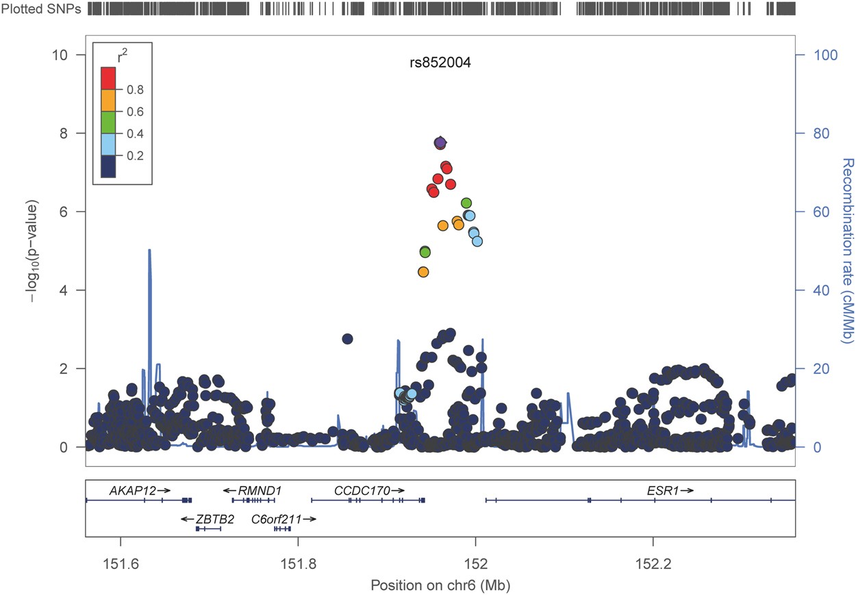Novel Genetic Variants For Adhd Linked >> Genetic Variant For Behavioral Regulation Factor Of Executive Novel Genetic Variants For Adhd Linked >> Genetic Variant For Behavioral Regulation Factor Of Executive