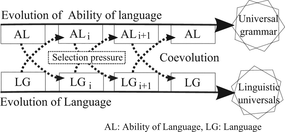 An Integrated Model Of Gene Culture Coevolution Of Language - 