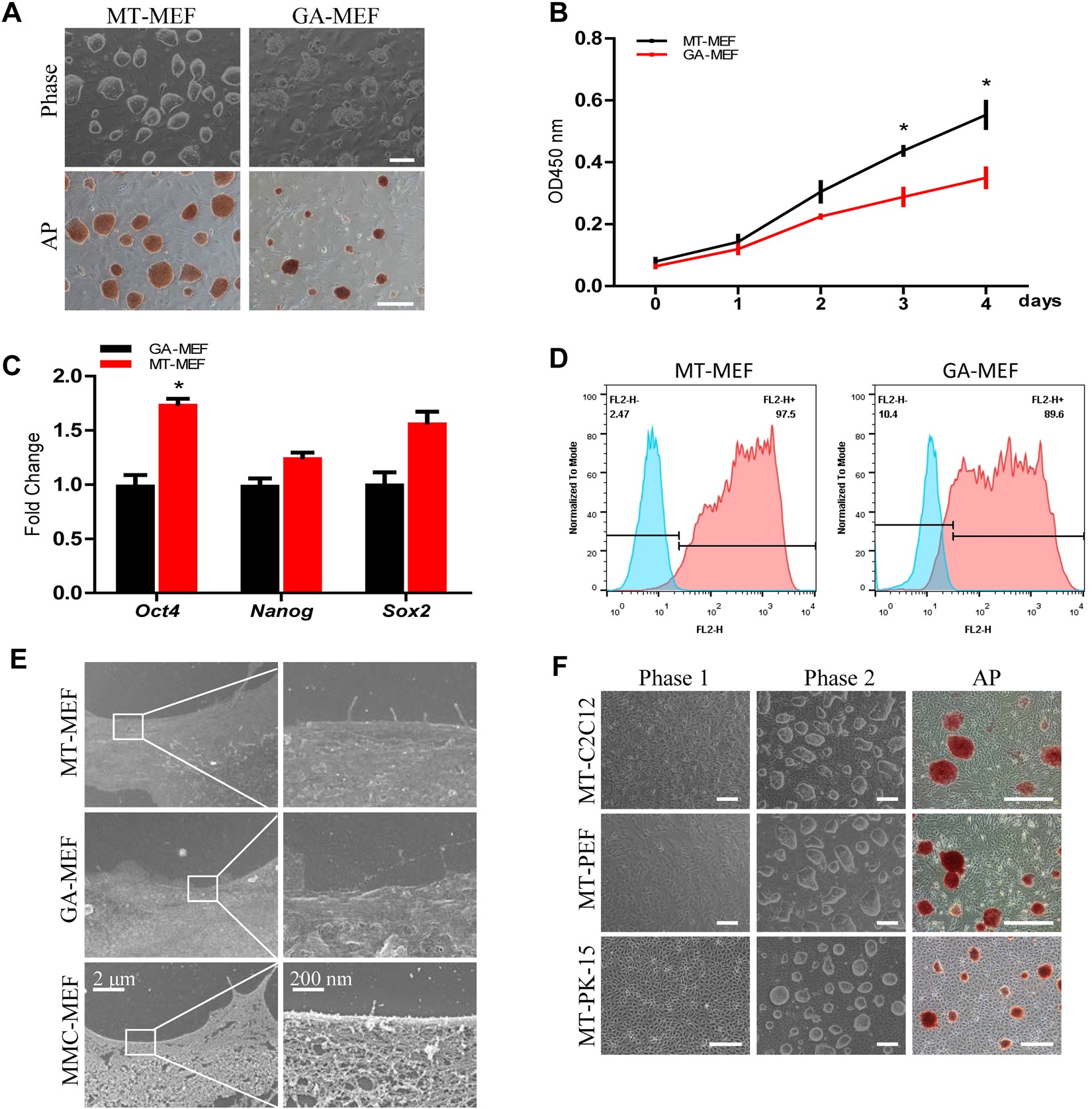 Methanol Fixed Fibroblasts Serve As Feeder Cells To Maintain Stem