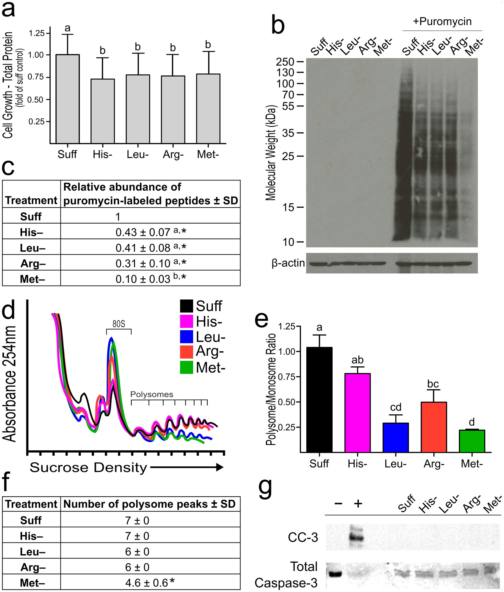 Effects of single amino acid deficiency on mRNA translation are markedly  different for methionine versus leucine | Scientific Reports