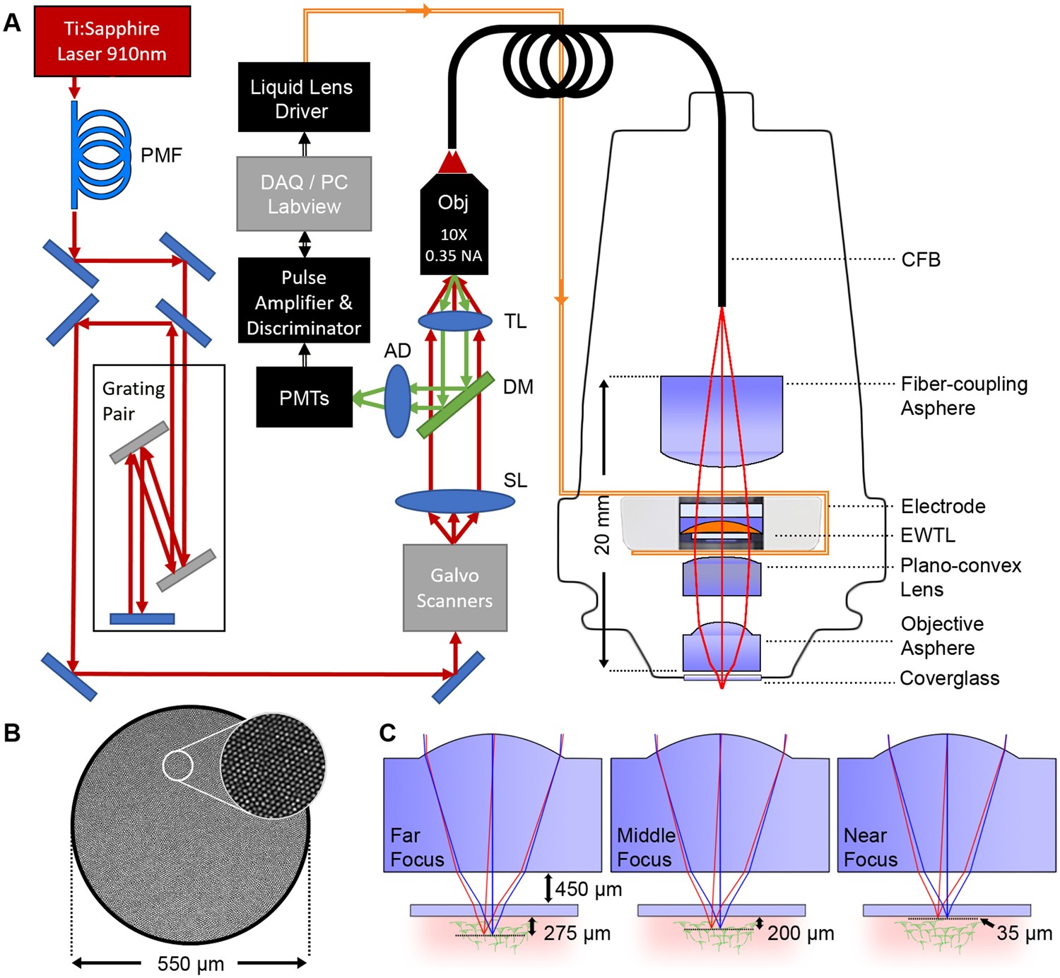 Three dimensional two-photon brain imaging in freely moving mice using a  miniature fiber coupled microscope with active axial-scanning | Scientific  Reports