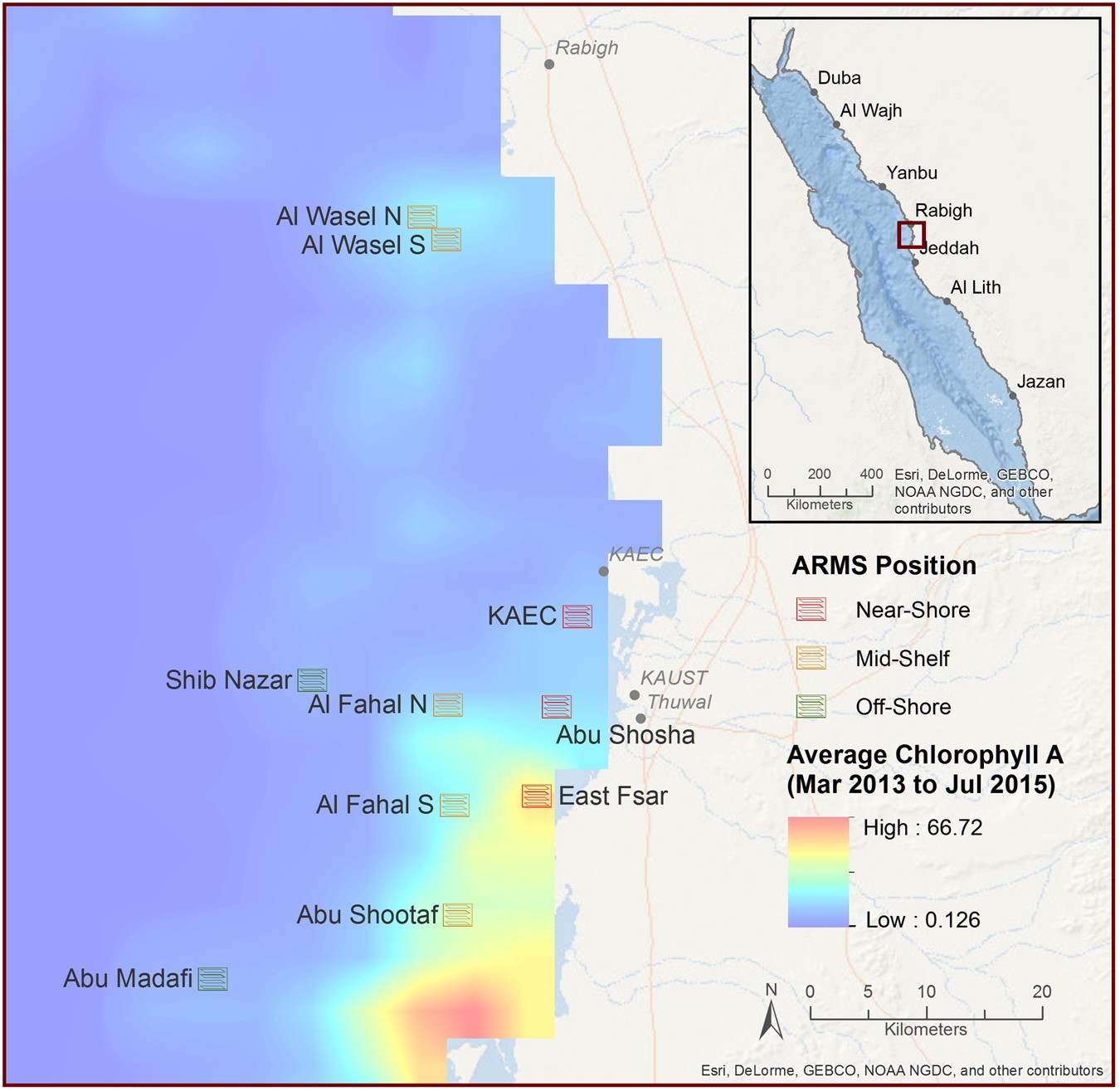Cross-shelf investigation of coral reef cryptic benthic organisms reveals  diversity patterns of the hidden majority | Scientific Reports