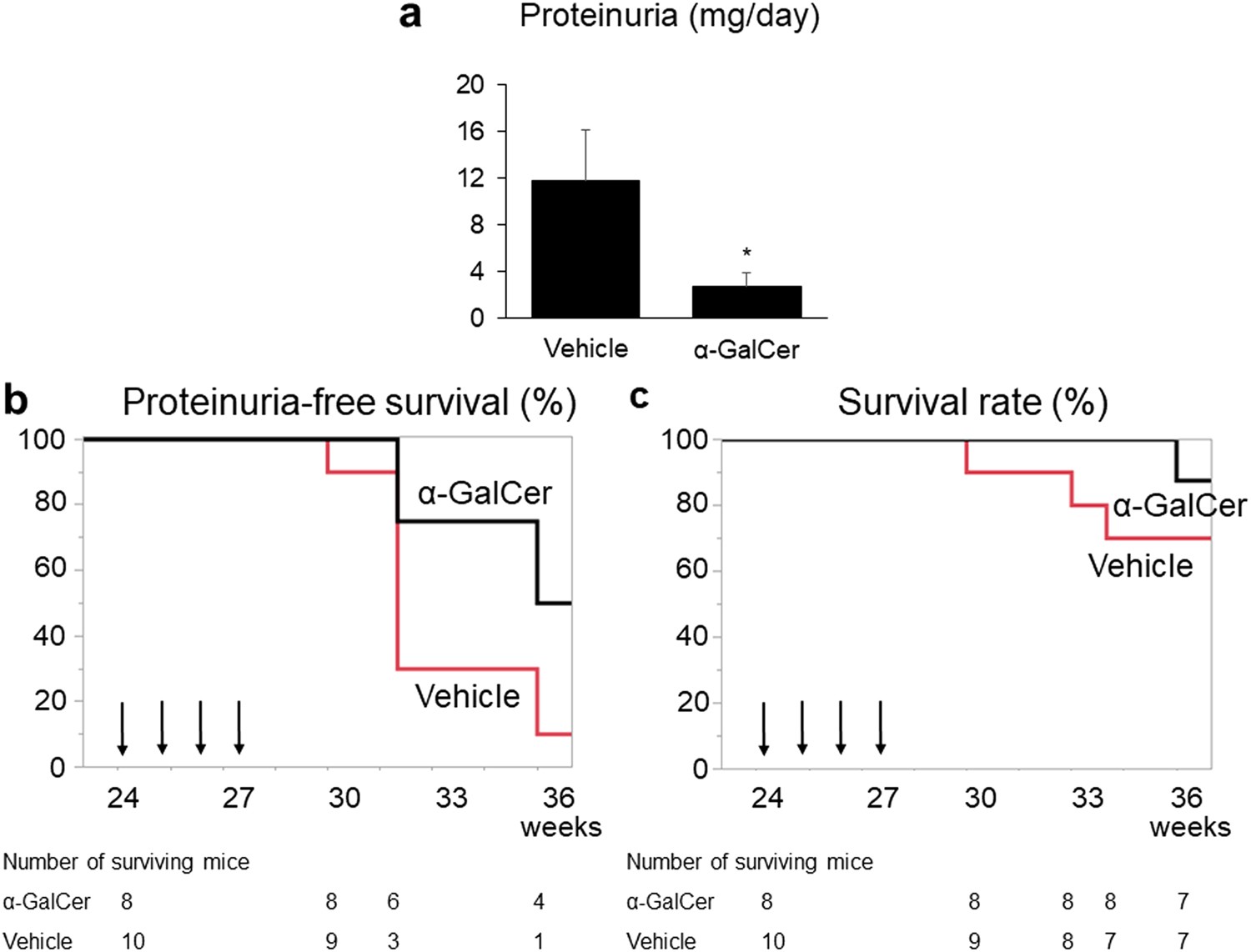 Repeated administration of alpha-galactosylceramide ameliorates experimental lupus nephritis in mice | Scientific Reports