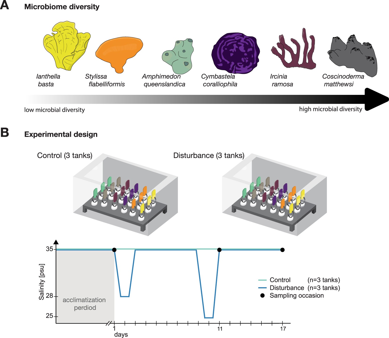Exploring The Diversity Stability Paradigm Using Sponge Microbial