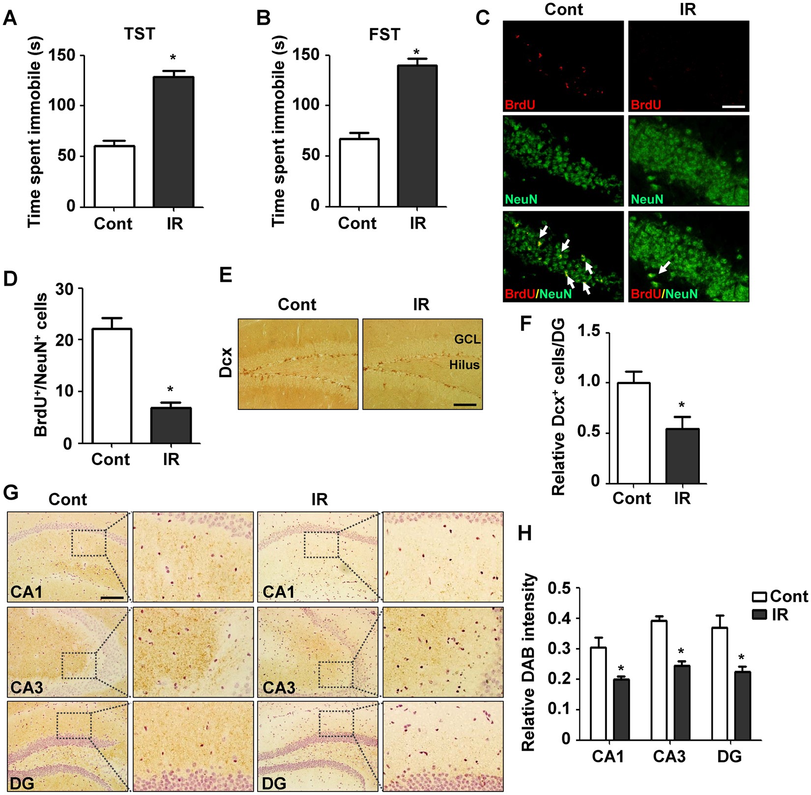 Radiation Induced Overexpression Of Transthyretin Inhibits