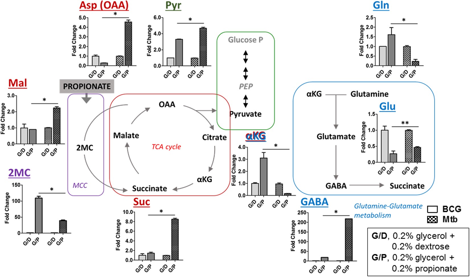 Glutamate mediated metabolic neutralization mitigates propionate toxicity in intracellular Mycobacterium tuberculosis | Scientific Reports