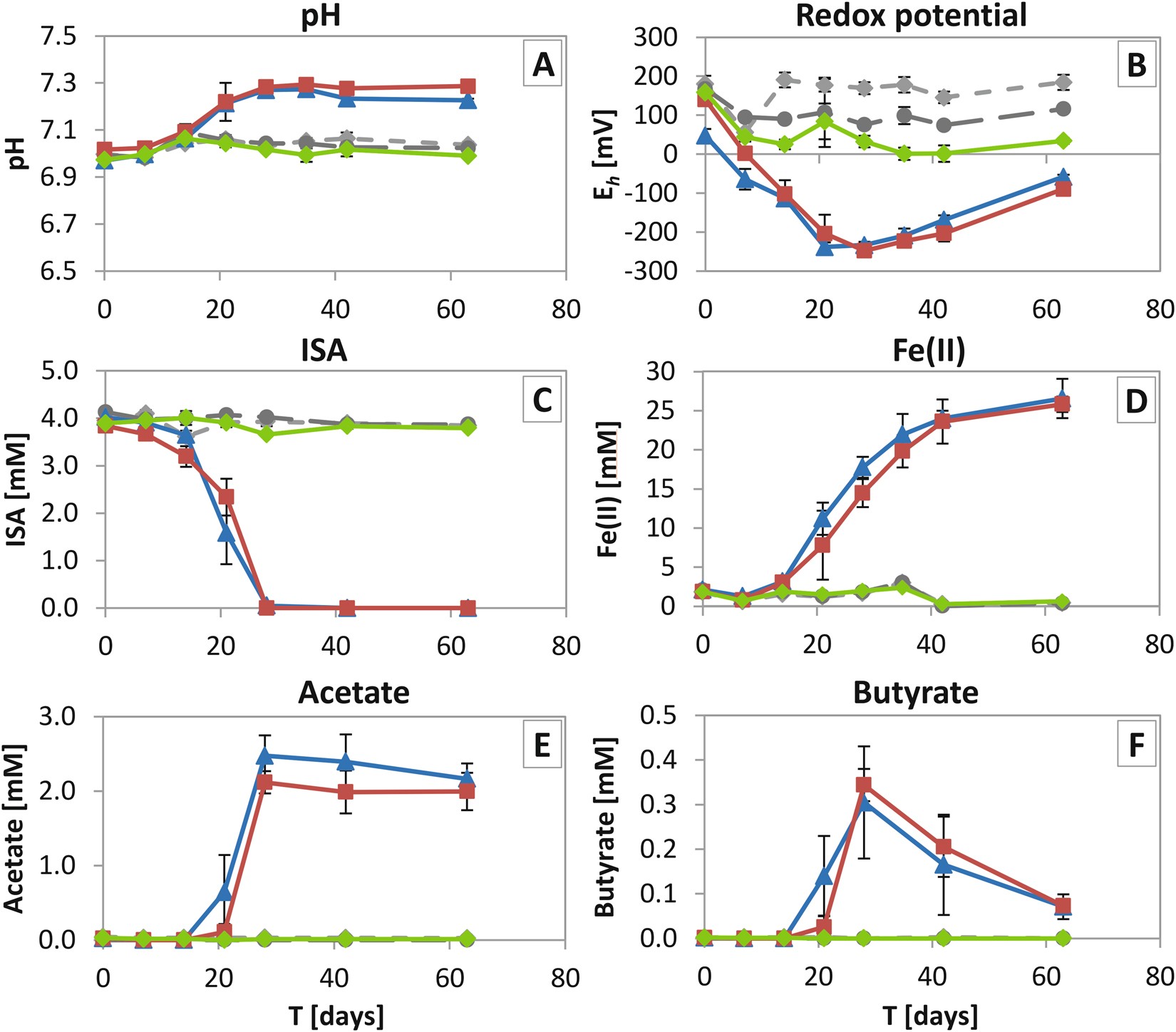 Black shemale nefertiti porn