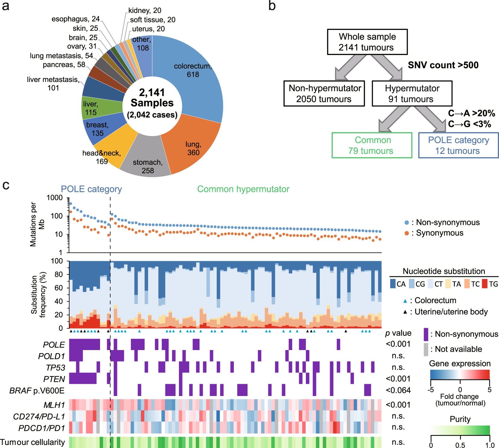 Molecular profiling and sequential somatic mutation shift in hypermutator  tumours harbouring POLE mutations | Scientific Reports