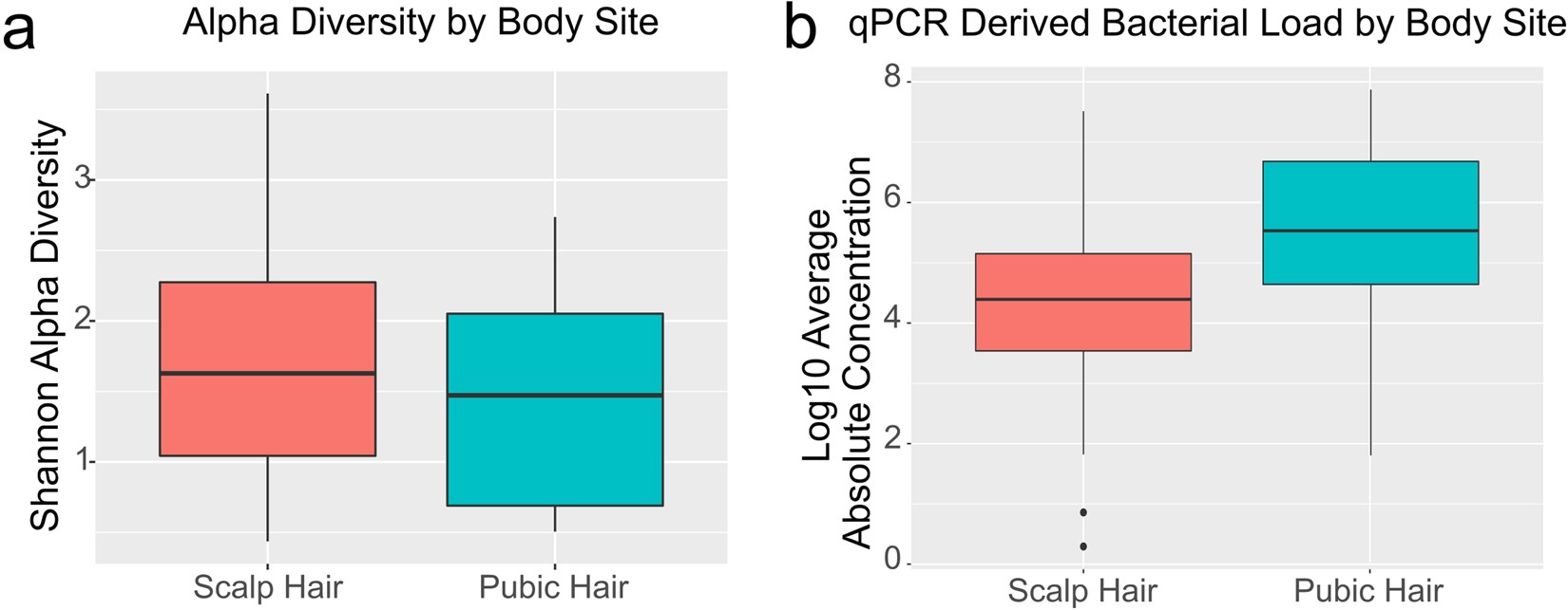 Spatial And Environmental Variation Of The Human Hair Microbiota