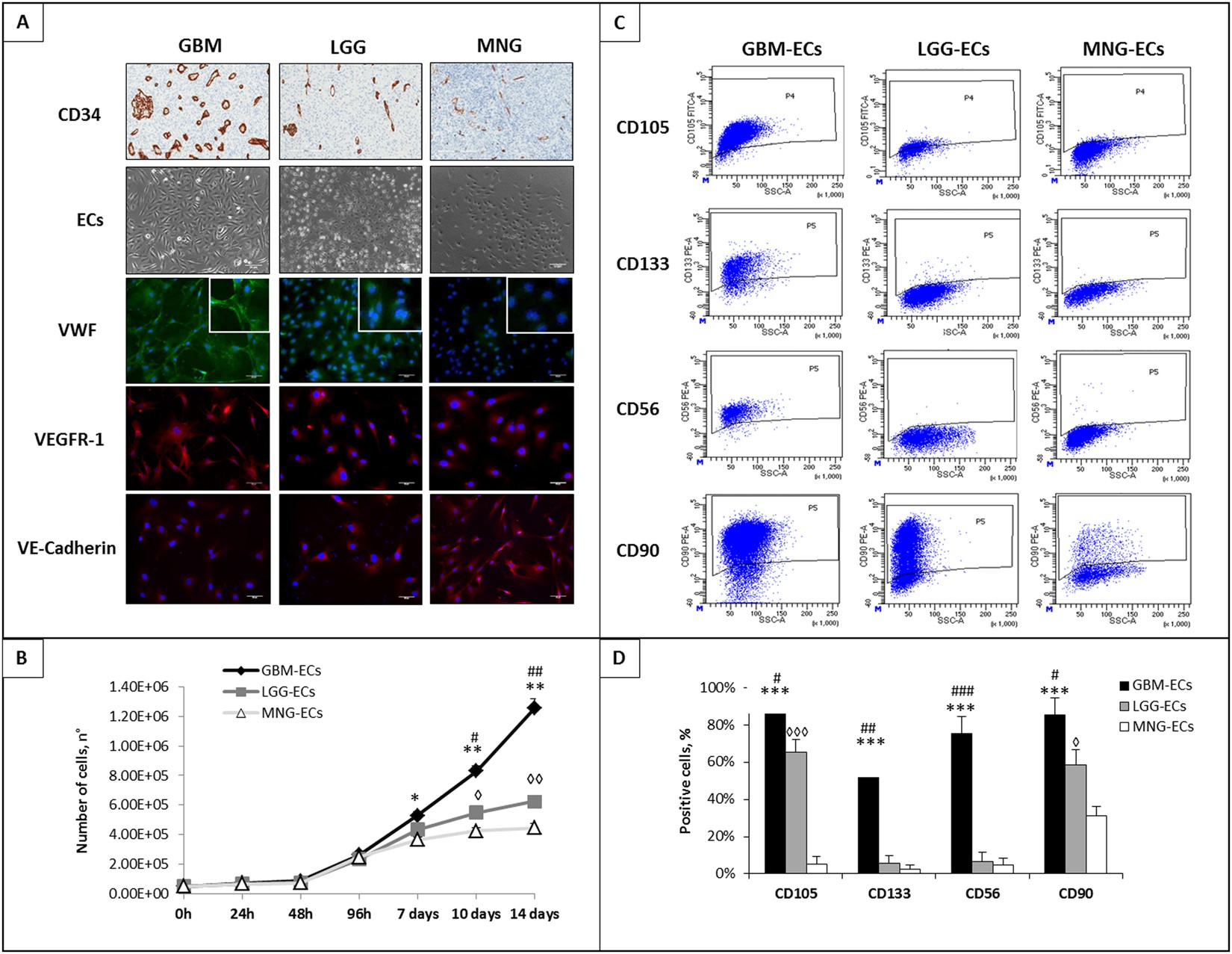 Angiogenesis in human brain tumors: screening of drug response through a  patient-specific cell platform for personalized therapy | Scientific Reports