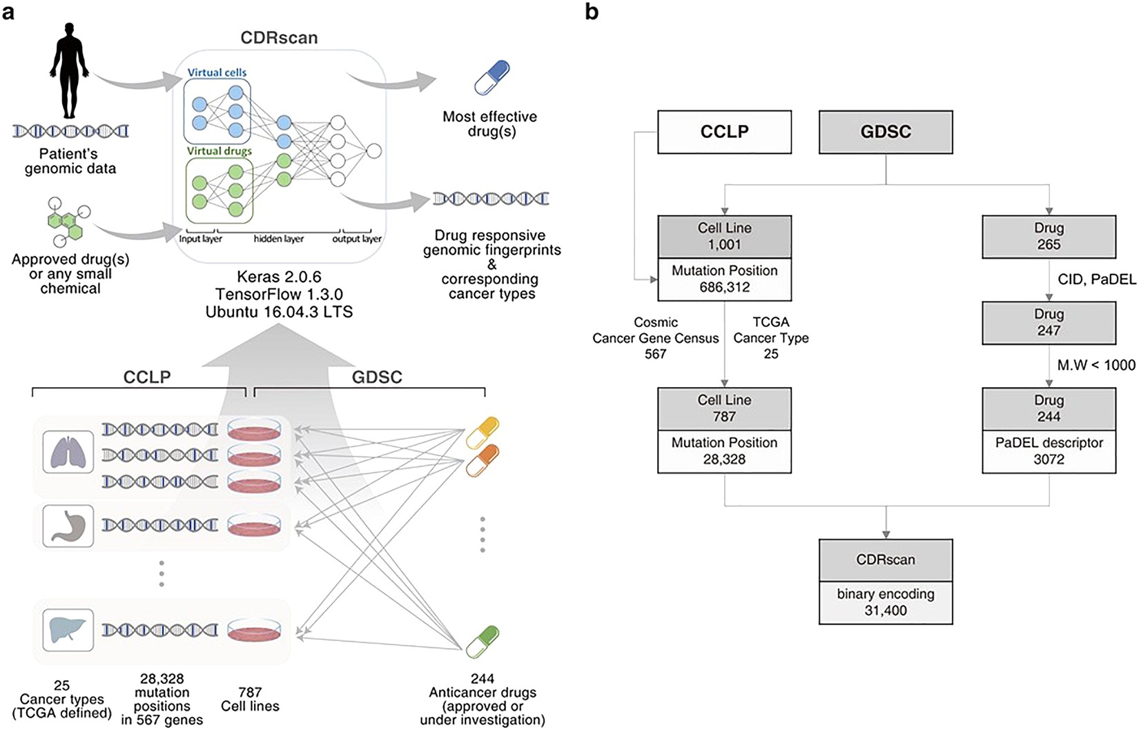 Evidence Linking Chemicals And Learning >> Cancer Drug Response Profile Scan Cdrscan A Deep Learning Model Evidence Linking Chemicals And Learning >> Cancer Drug Response Profile Scan Cdrscan A Deep Learning Model