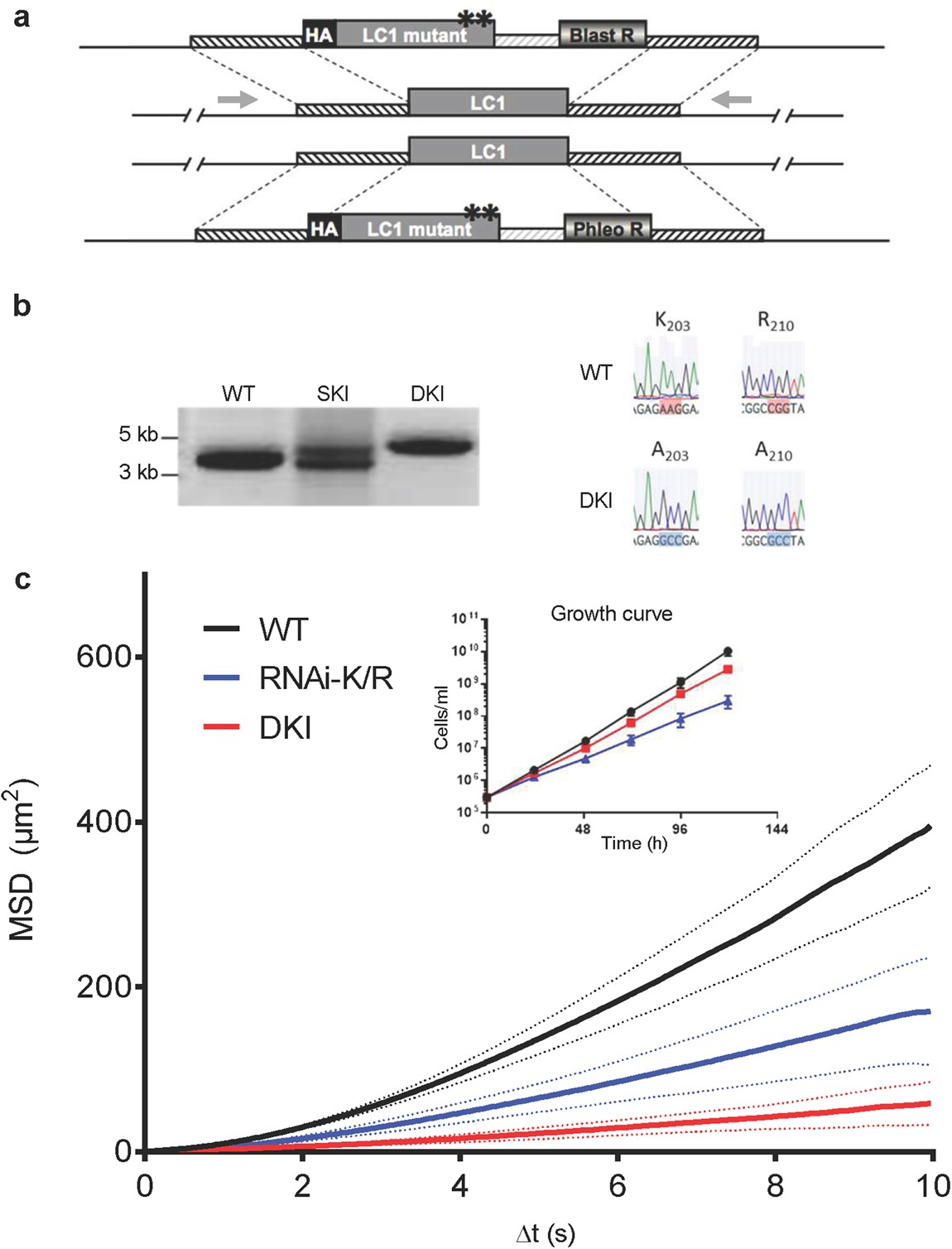 Parasite motility is critical for virulence of African trypanosomes |  Scientific Reports
