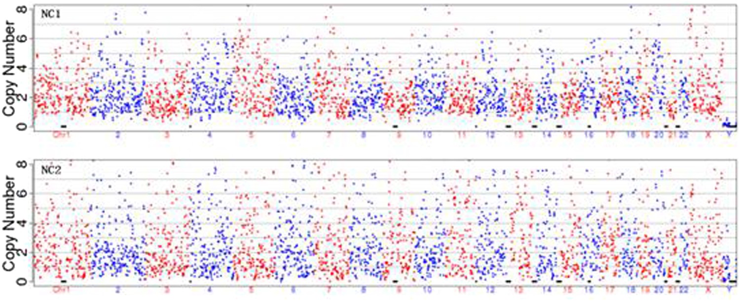 Preimplantation Genetic Screening With Spent Culture Medium - 