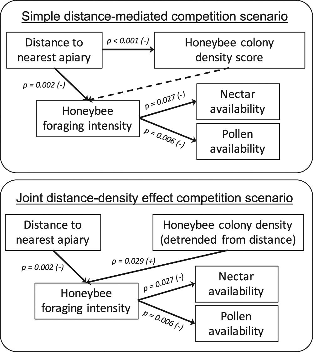 Controlling the impact of the managed honeybee on wild bees in protected areas | Scientific Reports