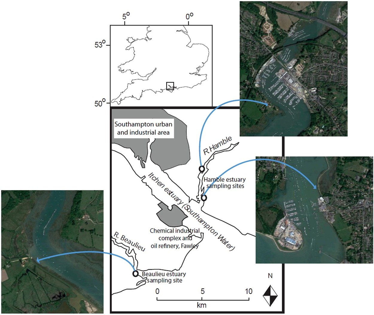 A rapid method for assessing the accumulation of microplastics in the sea  surface microlayer (SML) of estuarine systems | Scientific Reports
