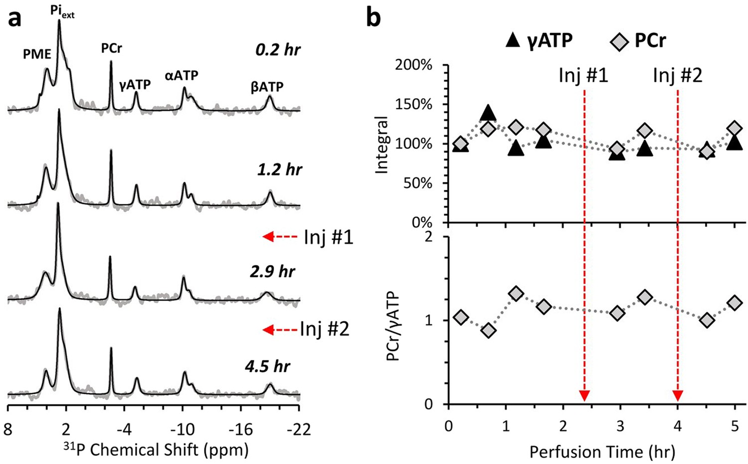 How can I measure brain acetylcholine levels in vivo? Advantages