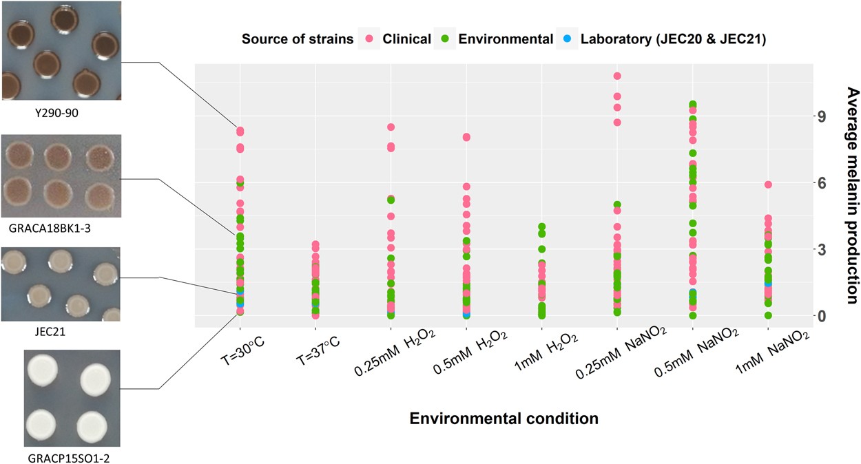 Genetic Factors And Genotype Environment Interactions - 