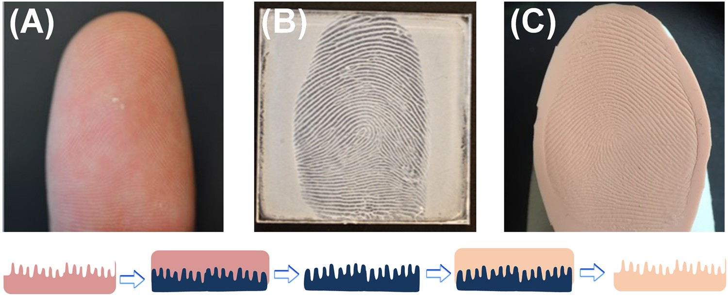 Fake Finger Print Id