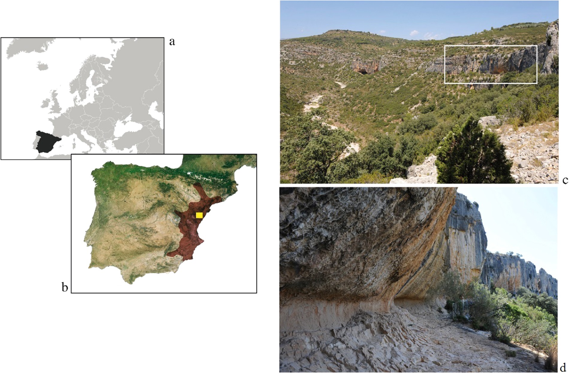 Proteomic and metagenomic insights into prehistoric Spanish Levantine Rock  Art | Scientific Reports