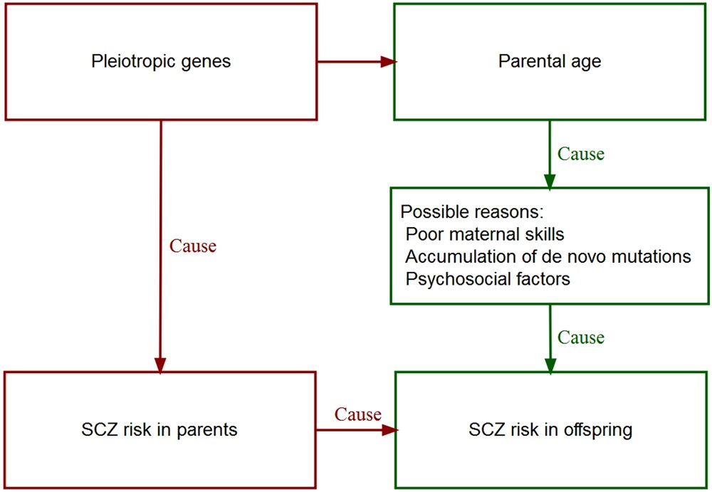 Age at first birth in women is genetically associated with