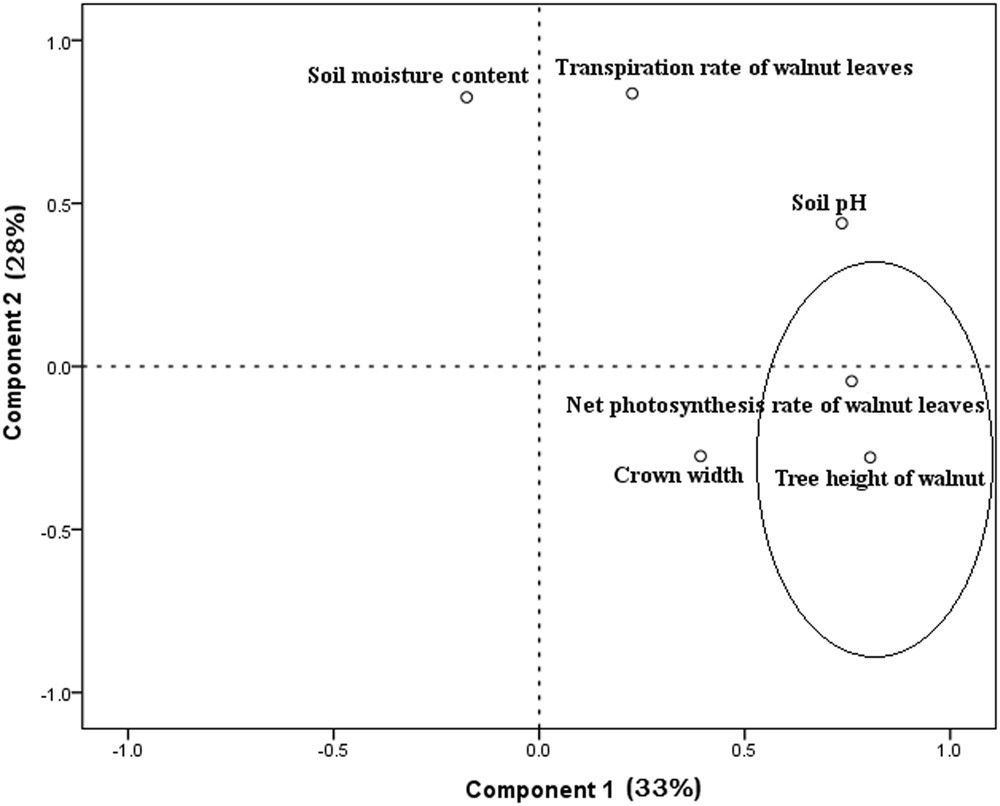 Solid crown: characteristics and types 56 Solid crown: characteristics and types 97