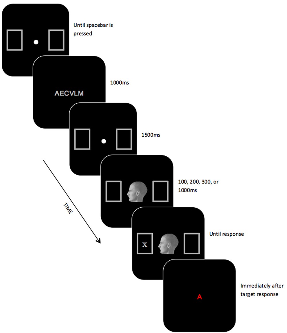Automaticity of social cues: The influence of limiting cognitive resources  on head orientation cueing | Scientific Reports