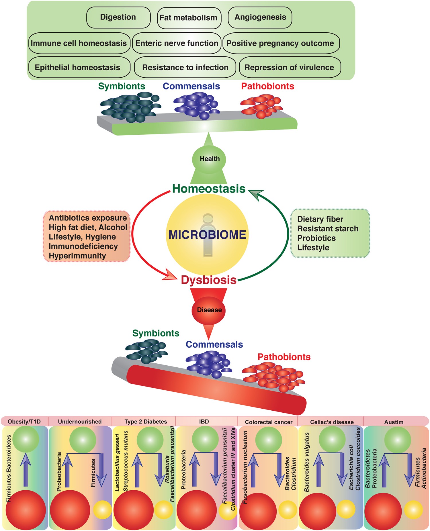 https://www.nature.com/articles/s41598-018-28550-3 What is a Microbiome Test ?