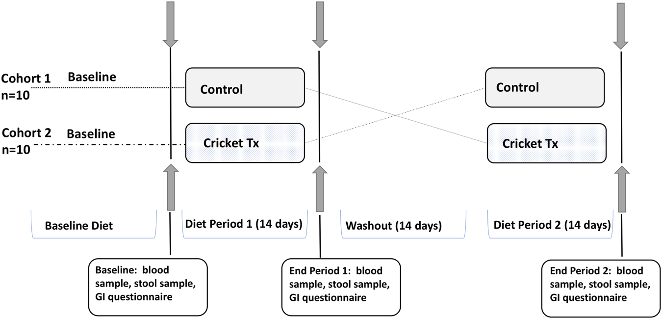 Indian Cricketers Diet Chart Pdf