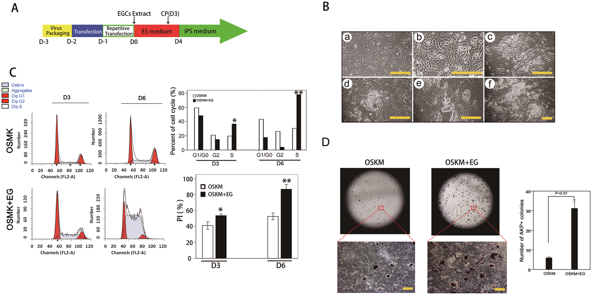 Embryonic Germ Cell Extracts Erase Imprinted Genes And Improve The