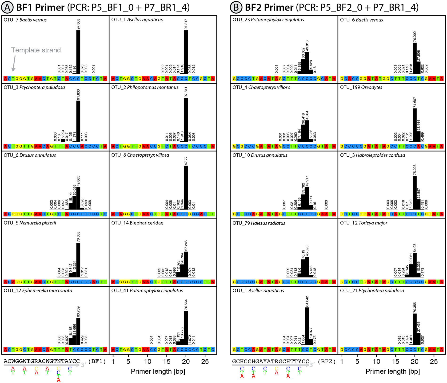 Slippage of degenerate primers can cause variation in amplicon length |  Scientific Reports