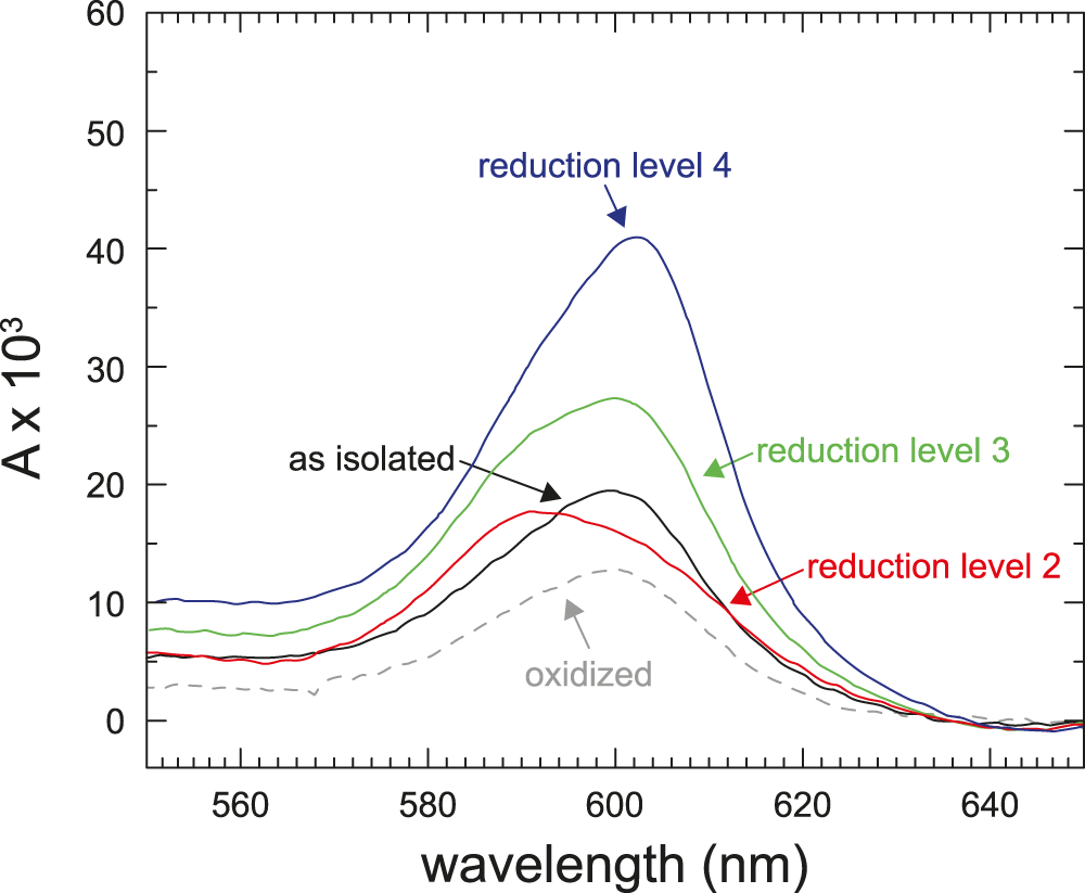 Regulation Of Cytochrome C Oxidase Activity By Modulation Of The Catalytic Site Scientific Reports