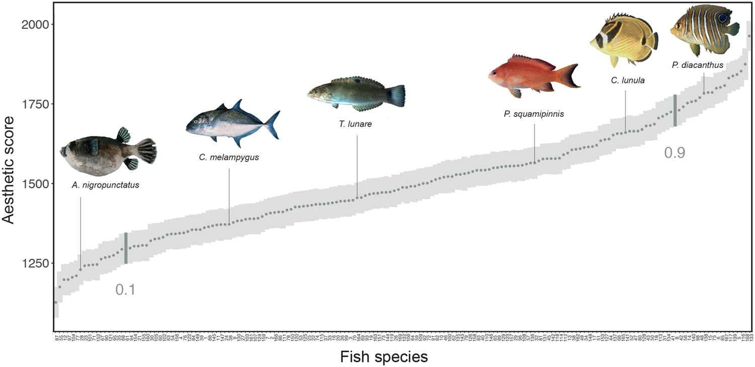 Nocturnality constrains morphological and functional diversity in the eyes  of reef fishes, BMC Ecology and Evolution