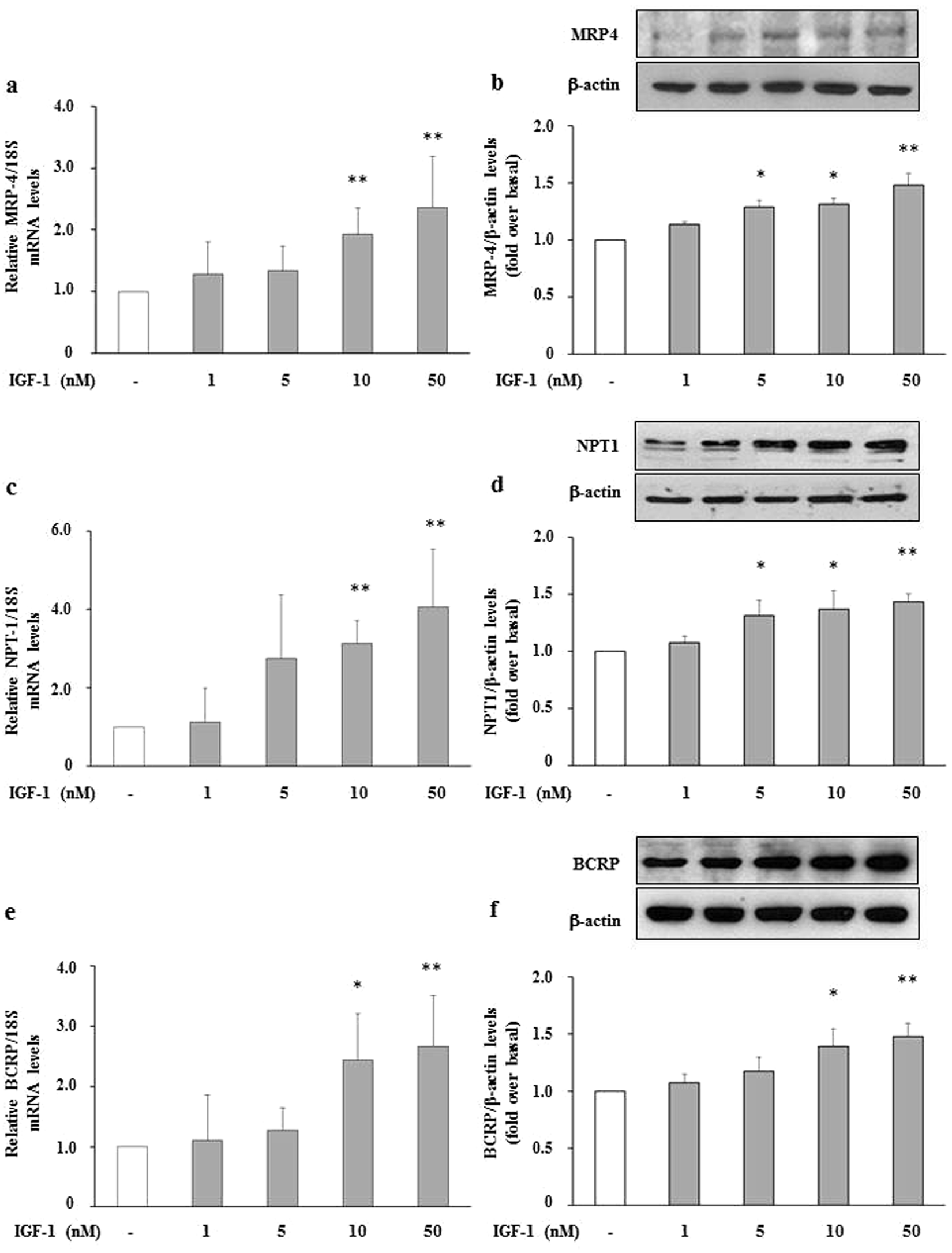 News - The Warrenton Declaration, image size:1650x2172