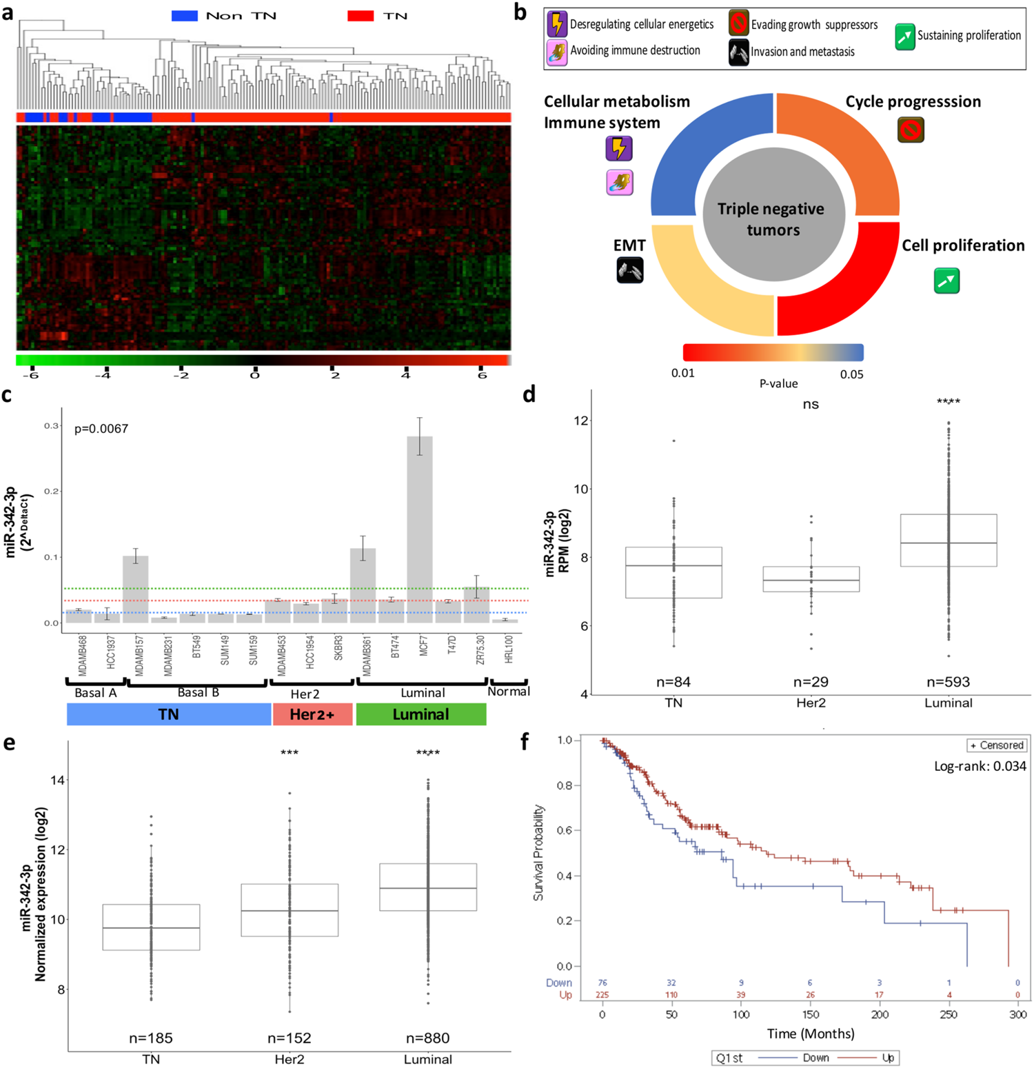 Loss Of Function Of Mir 342 3p Results In Mct1 Over