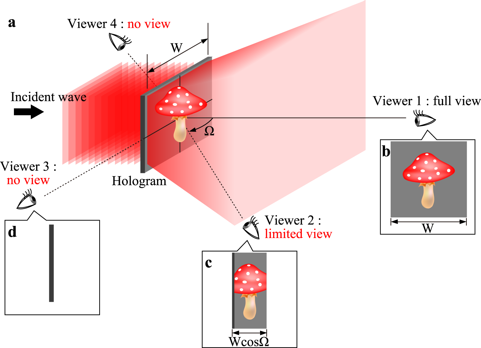 Super-wide viewing-zone holographic 3D display using a convex parabolic  mirror | Scientific Reports