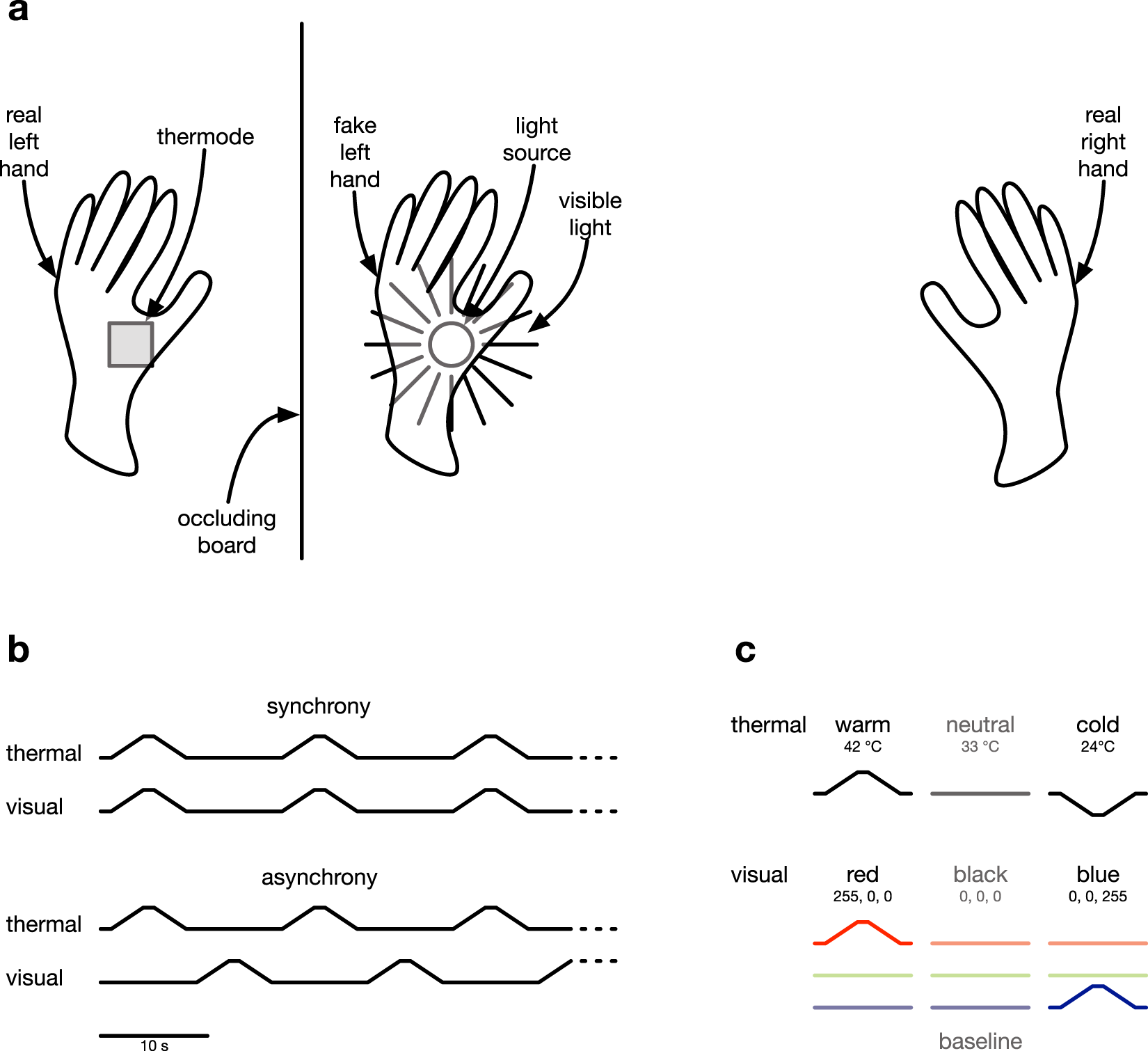 The Rubber Hand Illusion Induced By Visual Thermal Stimulation The Rubber Hand Illusion Induced By Visual Thermal Stimulation