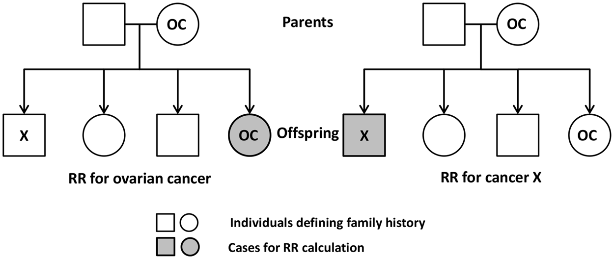 ovarian cancer history in family)